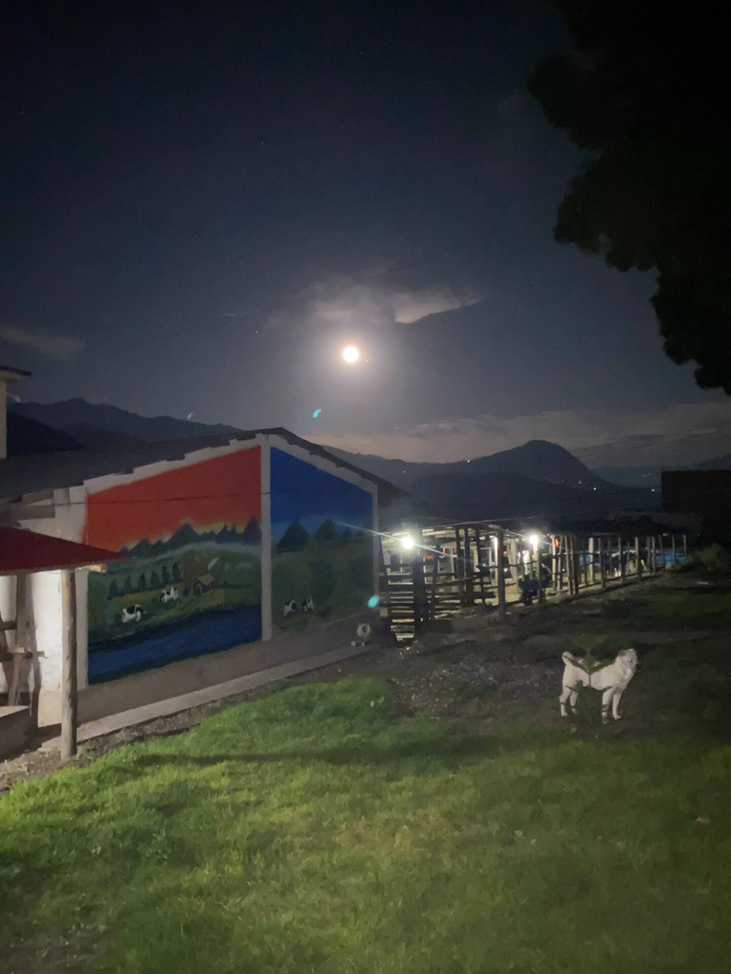 Agronegocios Llerena Farm Front night view