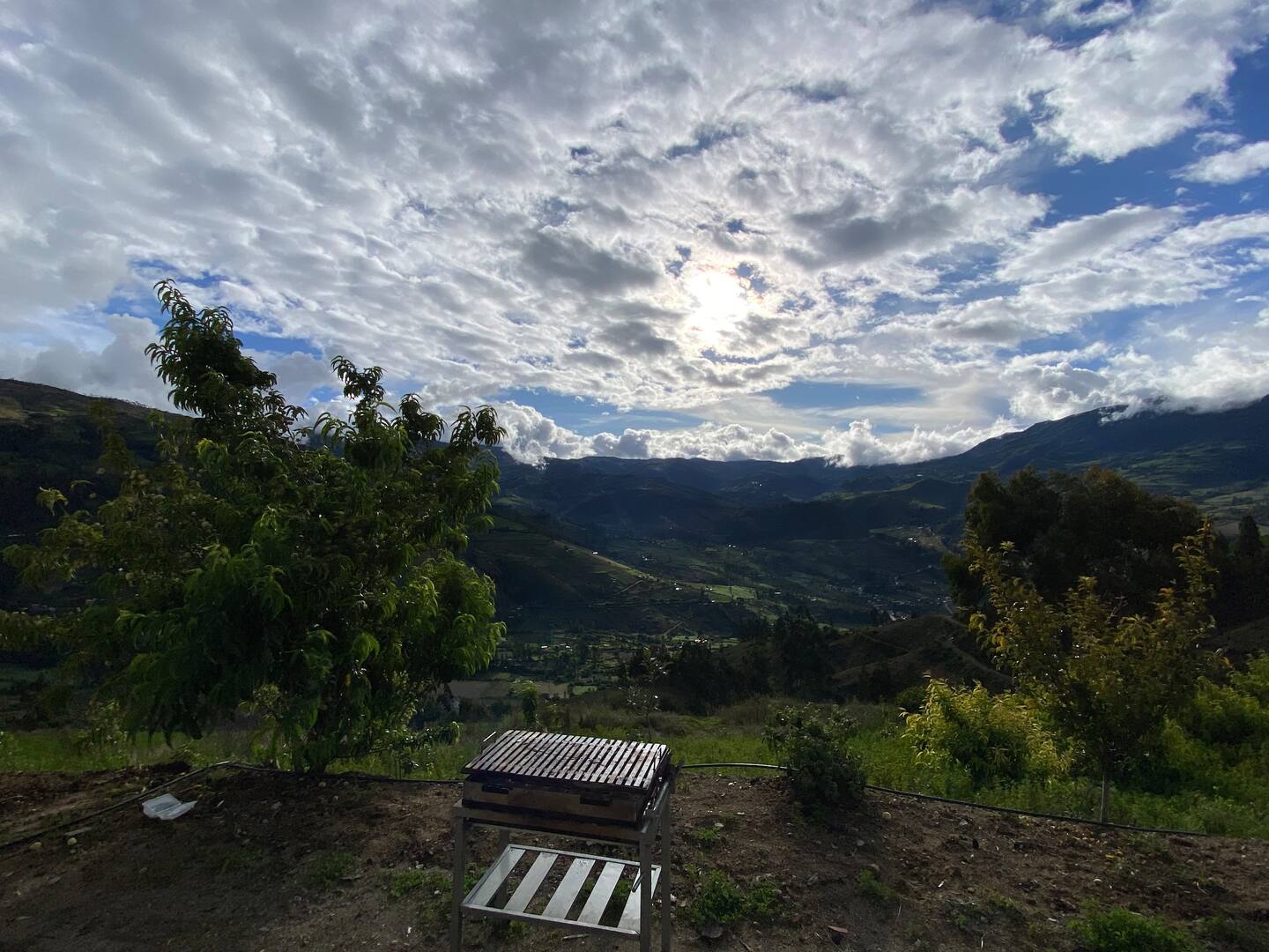 Farm House View Image, lots of green