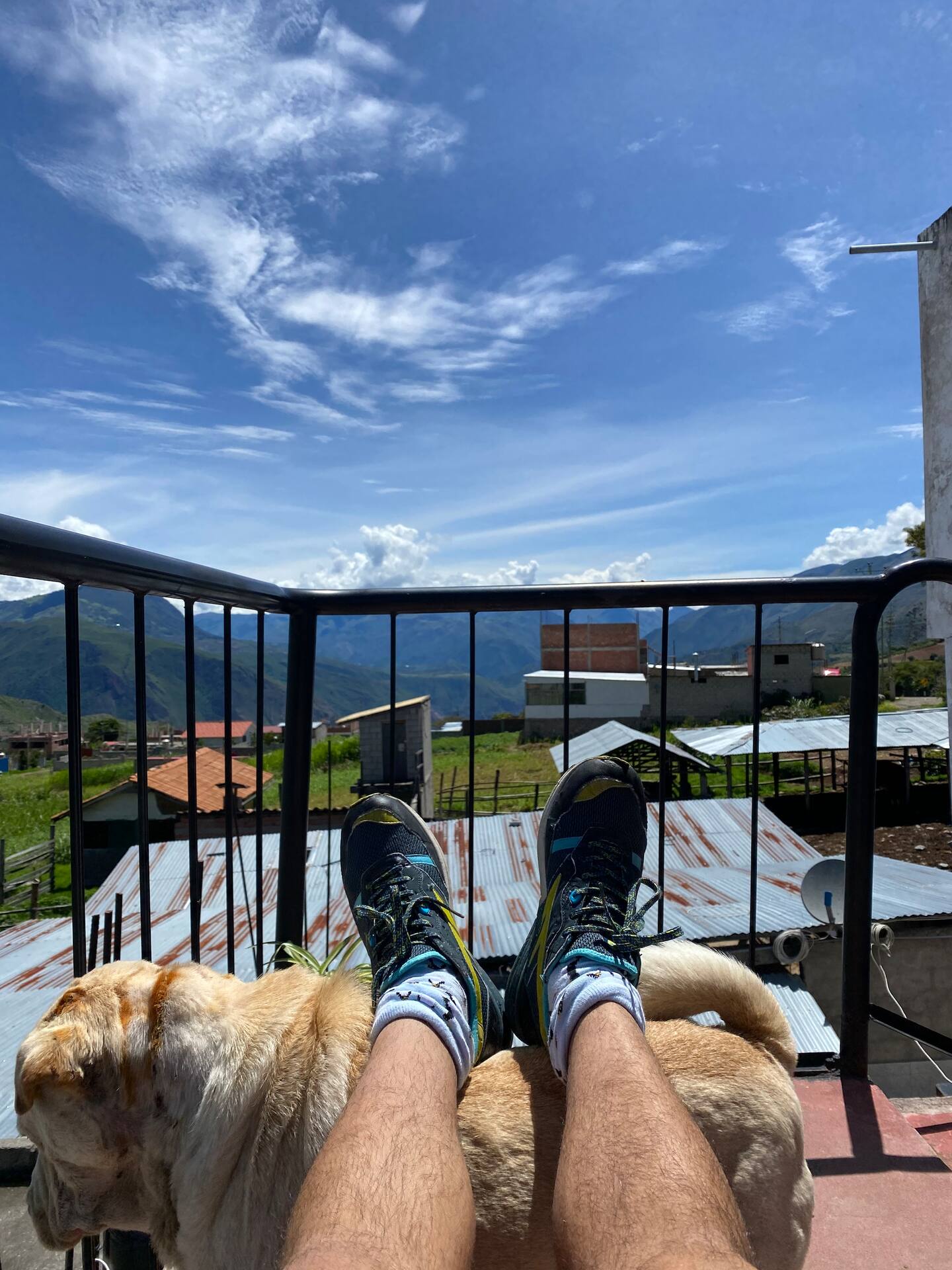 View from House in Farm