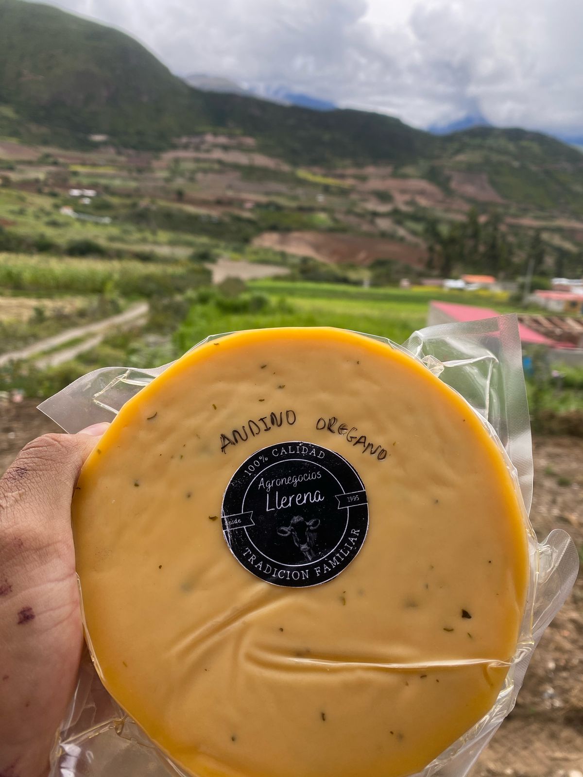 Queso Oregano Andino