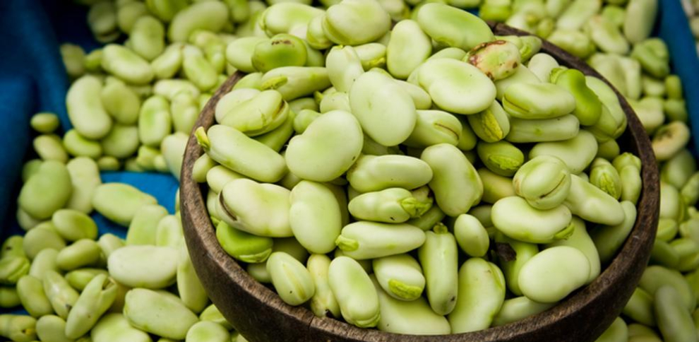 Organic yogurt production